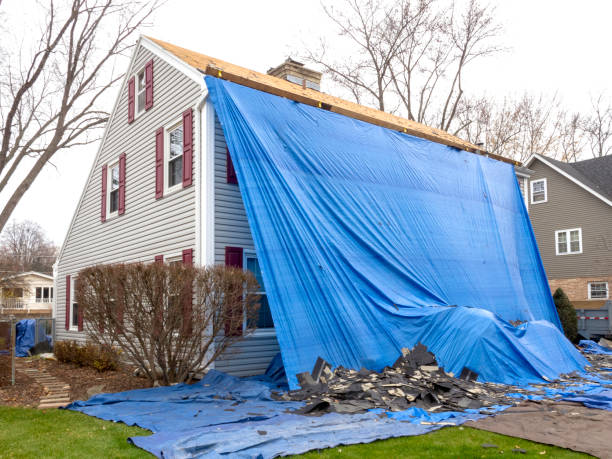 Affordable Siding Repair and Maintenance Services in North Hudson, WI